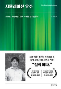 시뮬레이션 우주
